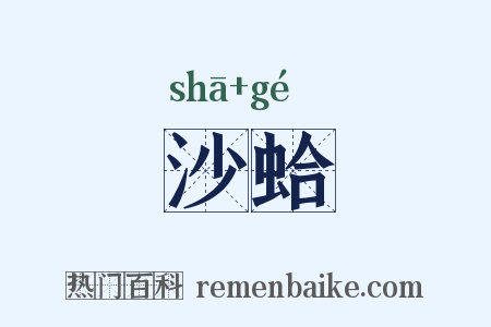 沙蛤是什么意思的图片